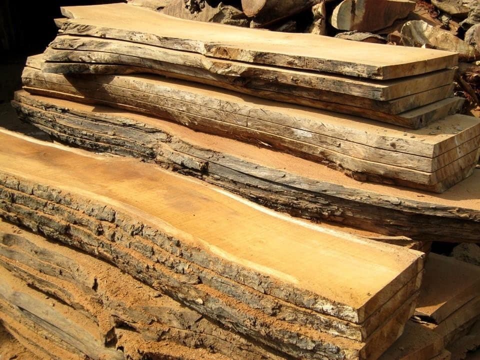 Mango timber in the workshop